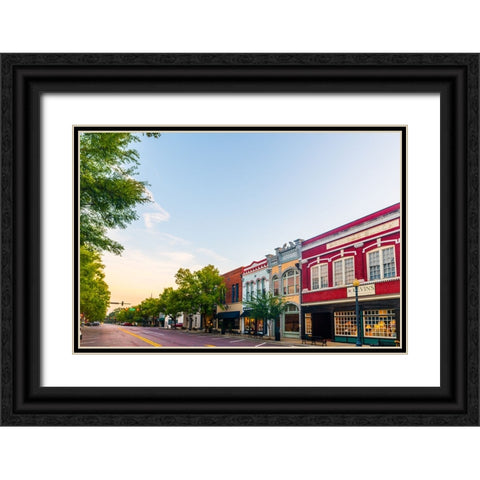 Thomasville Morning 3 Black Ornate Wood Framed Art Print with Double Matting by Malone, Will