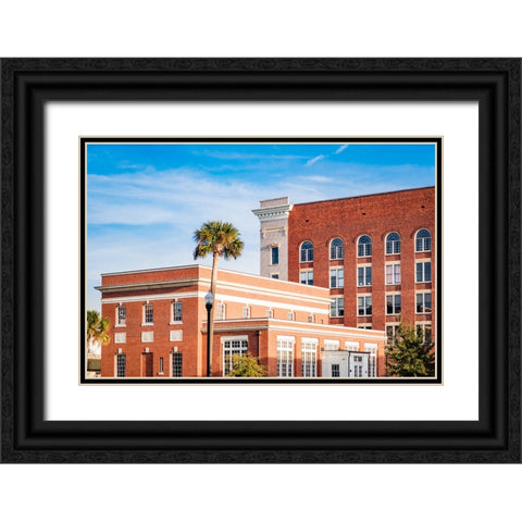 Thomasville Strip 1 Black Ornate Wood Framed Art Print with Double Matting by Malone, Will