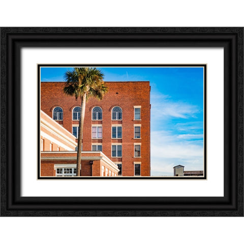 Thomasville Strip 2 Black Ornate Wood Framed Art Print with Double Matting by Malone, Will