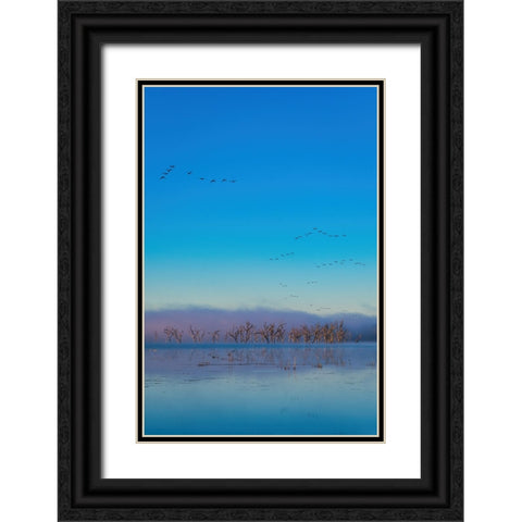 Tired Creek Fog Black Ornate Wood Framed Art Print with Double Matting by Malone, Will