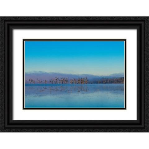 Tired Creek Morning 2 Black Ornate Wood Framed Art Print with Double Matting by Malone, Will