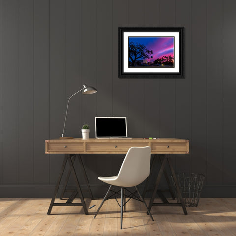 Watertower Sunset Black Ornate Wood Framed Art Print with Double Matting by Malone, Will