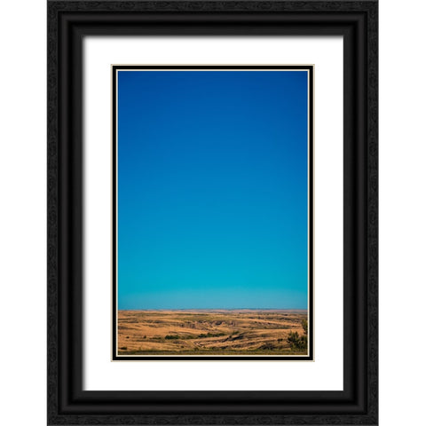 Amarillo Sky Vertical Black Ornate Wood Framed Art Print with Double Matting by Malone, Will
