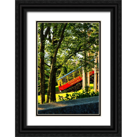 Lookout Incline Black Ornate Wood Framed Art Print with Double Matting by Malone, Will