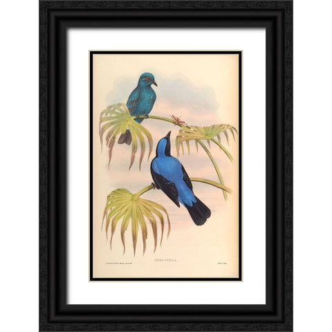 Irena Puella Black Ornate Wood Framed Art Print with Double Matting by CAG