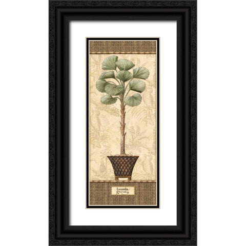 Botanical Palm I Black Ornate Wood Framed Art Print with Double Matting by Audrey, Charlene