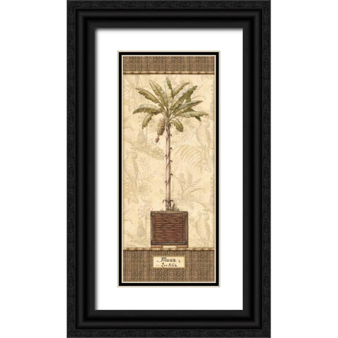 Botanical Palm IV Black Ornate Wood Framed Art Print with Double Matting by Audrey, Charlene
