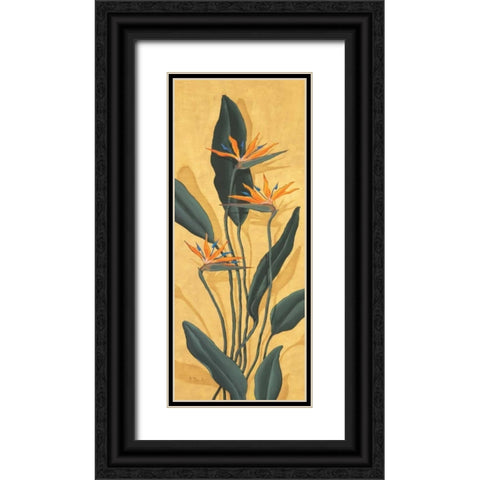 Bird of Paradise Black Ornate Wood Framed Art Print with Double Matting by Brent, Paul
