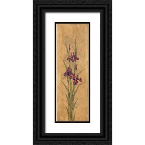Iris of Delos I Black Ornate Wood Framed Art Print with Double Matting by Brent, Paul