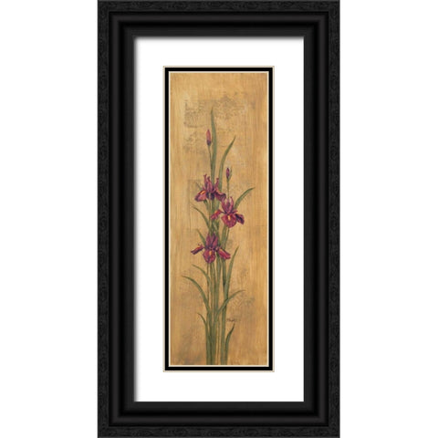 Iris of Delos II Black Ornate Wood Framed Art Print with Double Matting by Brent, Paul