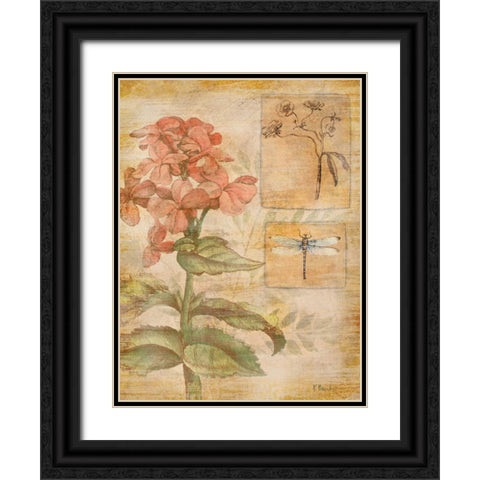 Flora Dragonfly Black Ornate Wood Framed Art Print with Double Matting by Brent, Paul