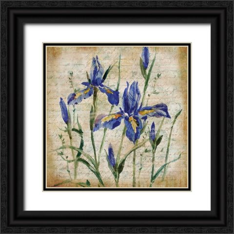Poetic Garden IV Black Ornate Wood Framed Art Print with Double Matting by Brent, Paul