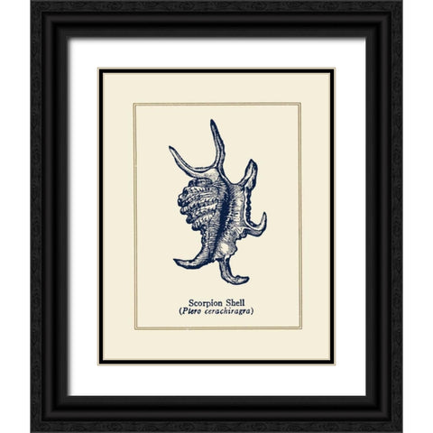 Scorpion Shell Black Ornate Wood Framed Art Print with Double Matting by Gorham, Gregory