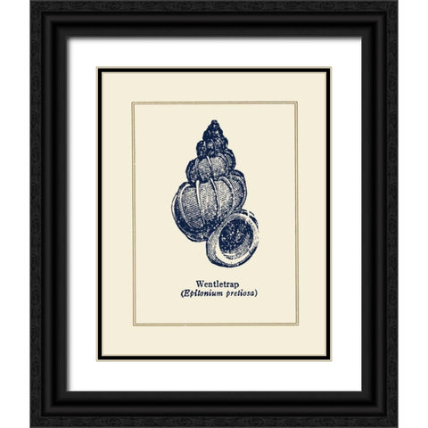 Wentletrap Shell Black Ornate Wood Framed Art Print with Double Matting by Gorham, Gregory