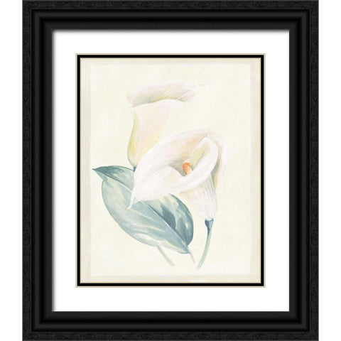 Calla Lily I Black Ornate Wood Framed Art Print with Double Matting by Hargittai, Paul