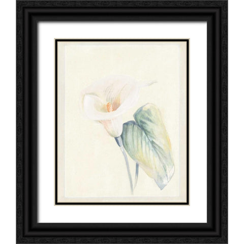 Calla Lily II Black Ornate Wood Framed Art Print with Double Matting by Hargittai, Paul