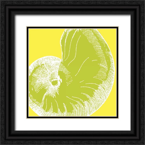 Graphic Shell II Black Ornate Wood Framed Art Print with Double Matting by Harbick, N