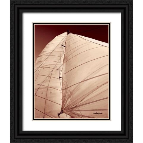 Windward Sail III Black Ornate Wood Framed Art Print with Double Matting by Hausenflock, Alan