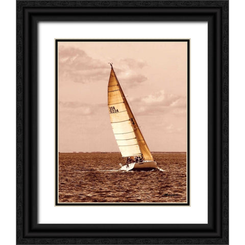 Weekend Sail II Black Ornate Wood Framed Art Print with Double Matting by Hausenflock, Alan