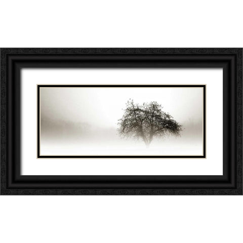 In the Mist I Black Ornate Wood Framed Art Print with Double Matting by Hausenflock, Alan