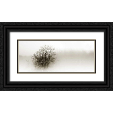 In the Mist II Black Ornate Wood Framed Art Print with Double Matting by Hausenflock, Alan