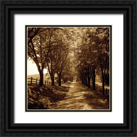 Ash Lawn I Black Ornate Wood Framed Art Print with Double Matting by Hausenflock, Alan