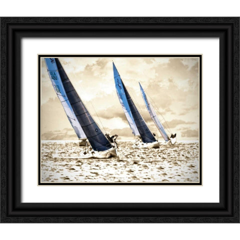 Racing Waters II Black Ornate Wood Framed Art Print with Double Matting by Hausenflock, Alan