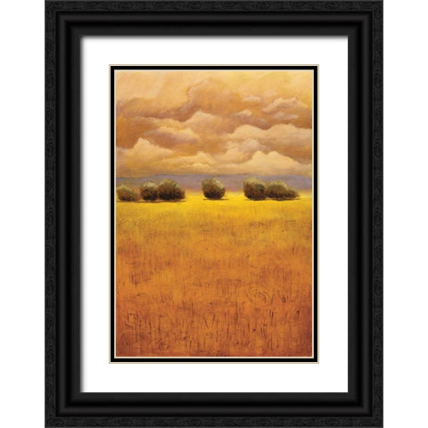 Golden Fields II Black Ornate Wood Framed Art Print with Double Matting by Girard, Thomas