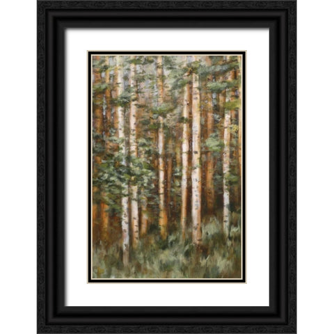 Aspen Beauty II Black Ornate Wood Framed Art Print with Double Matting by Lee, Scott