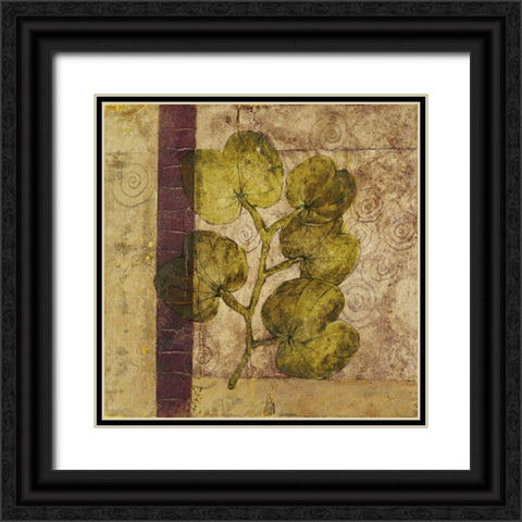 Nature Study IV Black Ornate Wood Framed Art Print with Double Matting by Kime, John