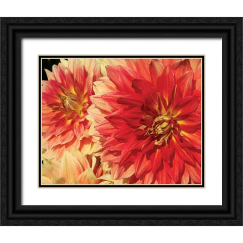Hot Sun Black Ornate Wood Framed Art Print with Double Matting by Love, Maureen