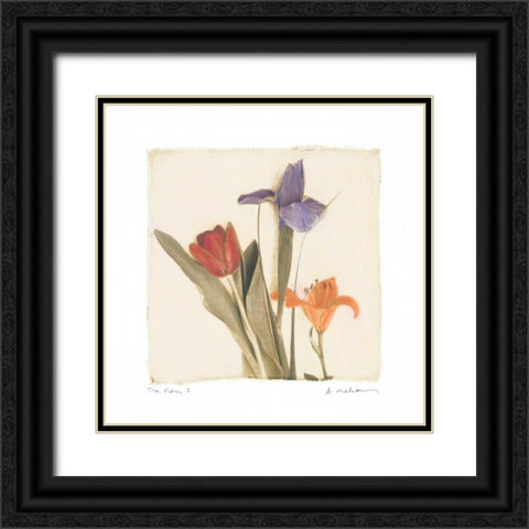 Tre Fiori I Black Ornate Wood Framed Art Print with Double Matting by Melious, Amy