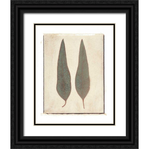 Two Leaves Black Ornate Wood Framed Art Print with Double Matting by Melious, Amy