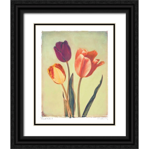 Concerto Verde I Black Ornate Wood Framed Art Print with Double Matting by Melious, Amy