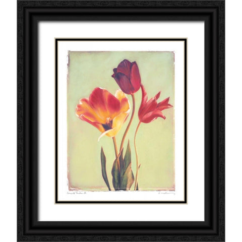 Concerto Verde II Black Ornate Wood Framed Art Print with Double Matting by Melious, Amy