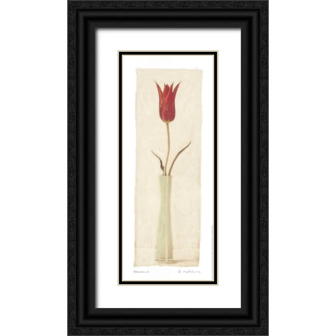 Blossom I Black Ornate Wood Framed Art Print with Double Matting by Melious, Amy