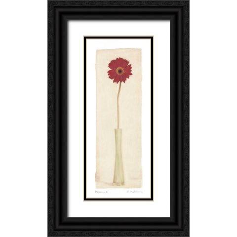 Blossom II Black Ornate Wood Framed Art Print with Double Matting by Melious, Amy