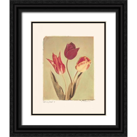 Spring Color I Black Ornate Wood Framed Art Print with Double Matting by Melious, Amy