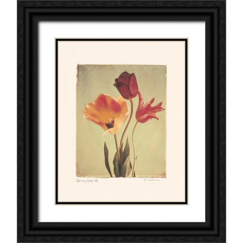 Spring Color III Black Ornate Wood Framed Art Print with Double Matting by Melious, Amy