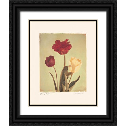 Spring Color IV Black Ornate Wood Framed Art Print with Double Matting by Melious, Amy