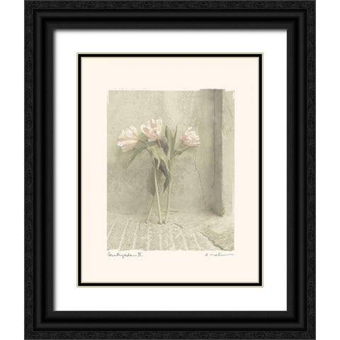 Countryside IV Black Ornate Wood Framed Art Print with Double Matting by Melious, Amy