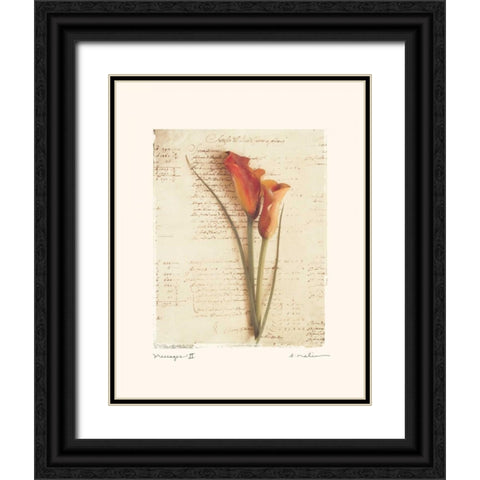 Messages II Black Ornate Wood Framed Art Print with Double Matting by Melious, Amy