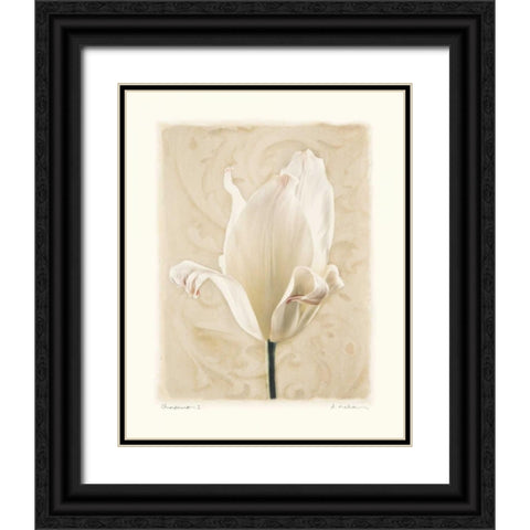 Chiaroscuro I Black Ornate Wood Framed Art Print with Double Matting by Melious, Amy