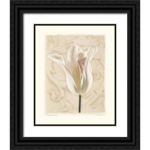 Chiaroscuro II Black Ornate Wood Framed Art Print with Double Matting by Melious, Amy