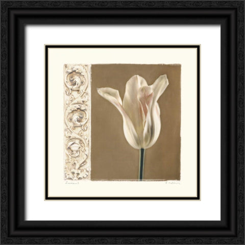 Lumiere I Black Ornate Wood Framed Art Print with Double Matting by Melious, Amy