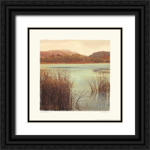 Water Colors II Black Ornate Wood Framed Art Print with Double Matting by Melious, Amy