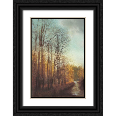 Winter Light I Black Ornate Wood Framed Art Print with Double Matting by Melious, Amy
