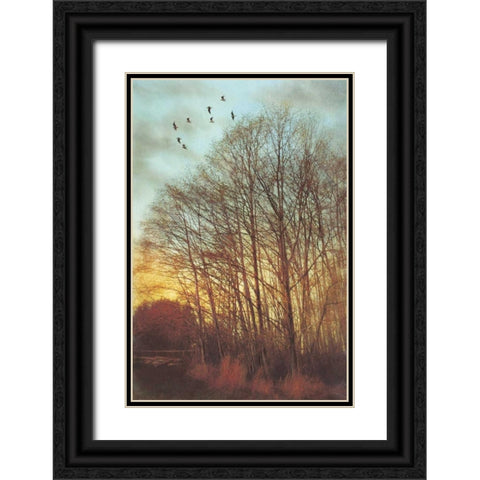 Winter Light II Black Ornate Wood Framed Art Print with Double Matting by Melious, Amy