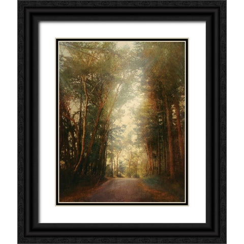Road of Mysteries II Black Ornate Wood Framed Art Print with Double Matting by Melious, Amy