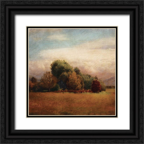 Autumn Horizon I Black Ornate Wood Framed Art Print with Double Matting by Melious, Amy